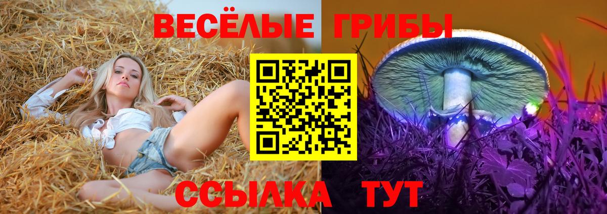Псилоцибиновые грибы GOLDEN TEACHER  Вход с VPN  Елизово 
